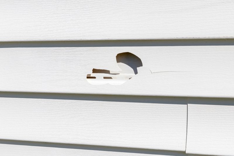 Siding Hole Repair